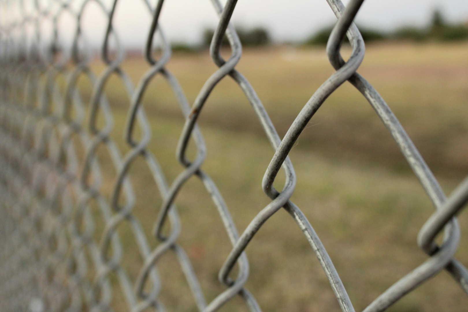 Chainlink Fencing